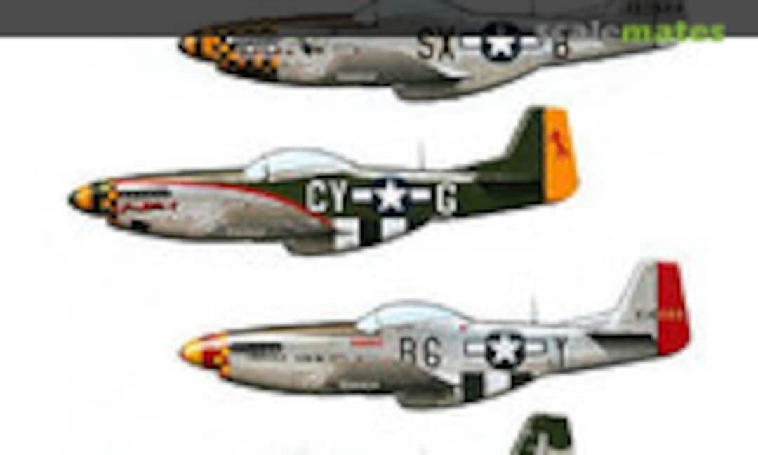 1:48 P-51D Mustangs Part 1 (Barracuda Studios BC48011)