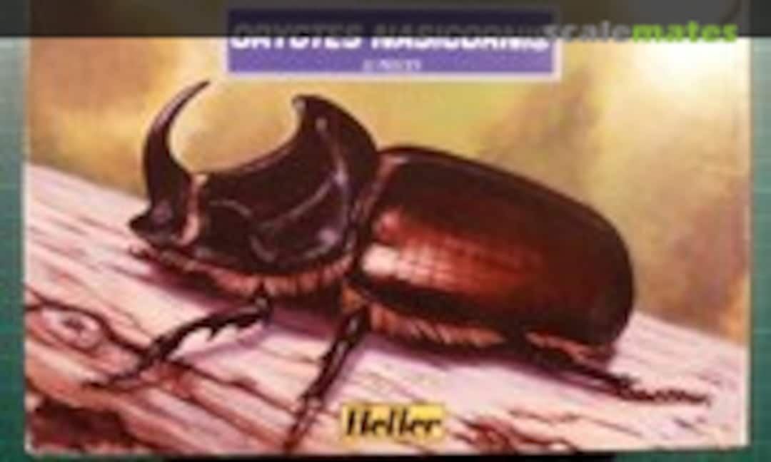 No Oryctes Nasicornis (Heller 79402) 79402