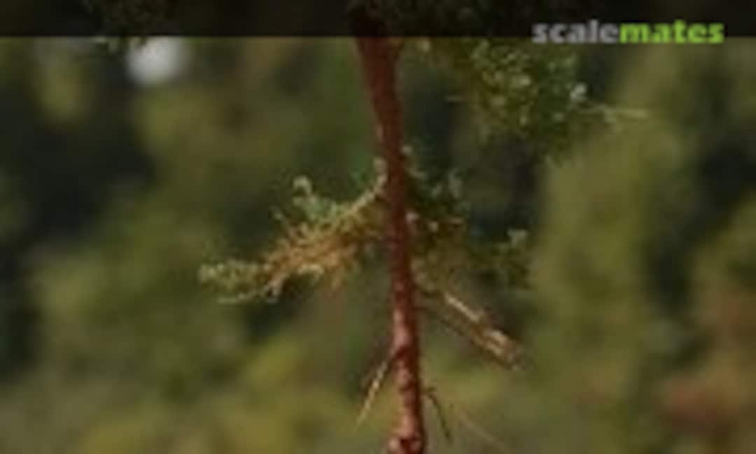 1:35 Young Pine Tree Tall (Sosna Młoda Wysoka) (Freon SOM1)