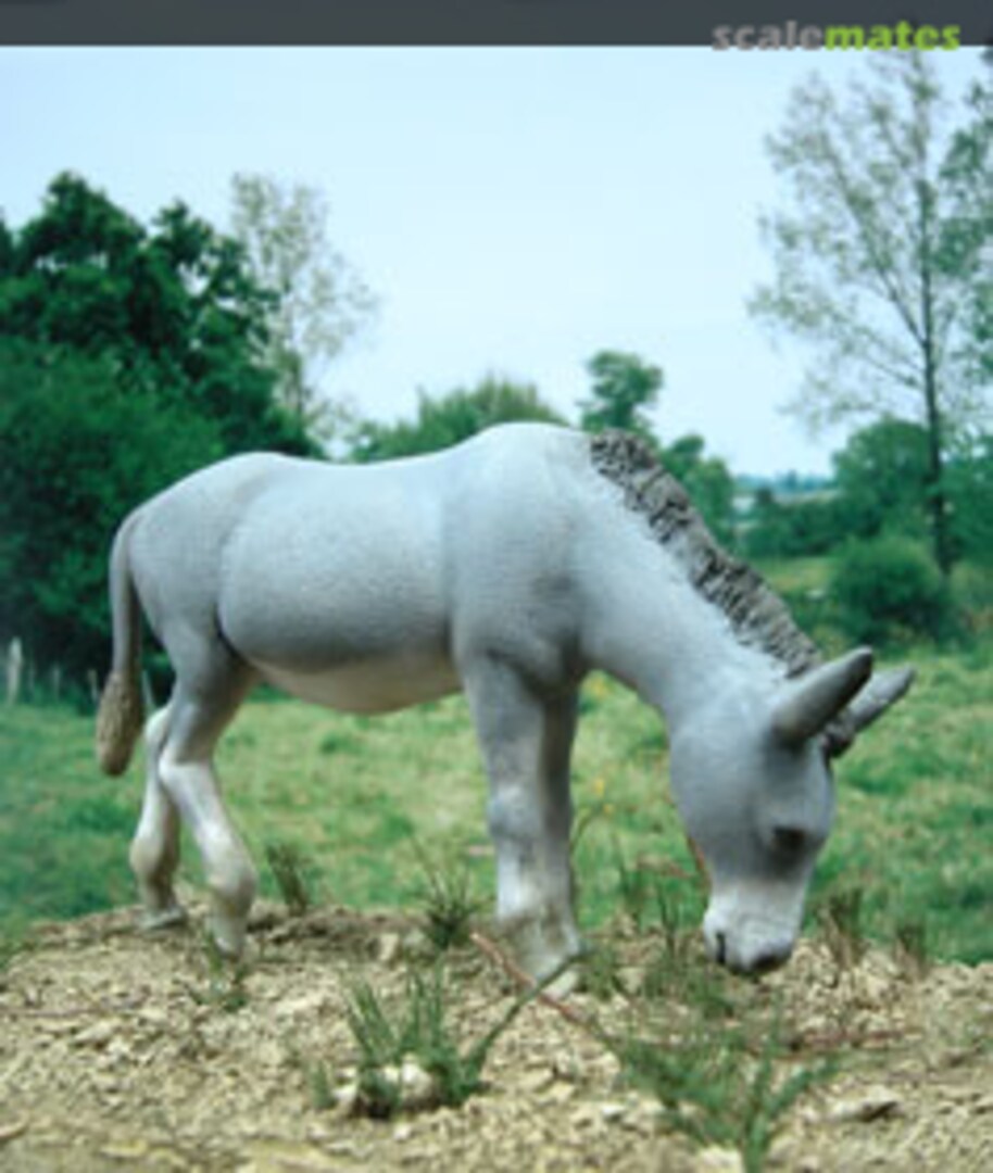 Boxart The Donkey "Martin" F123 MK35 Boxart The Donkey "Martin" F123 MK35