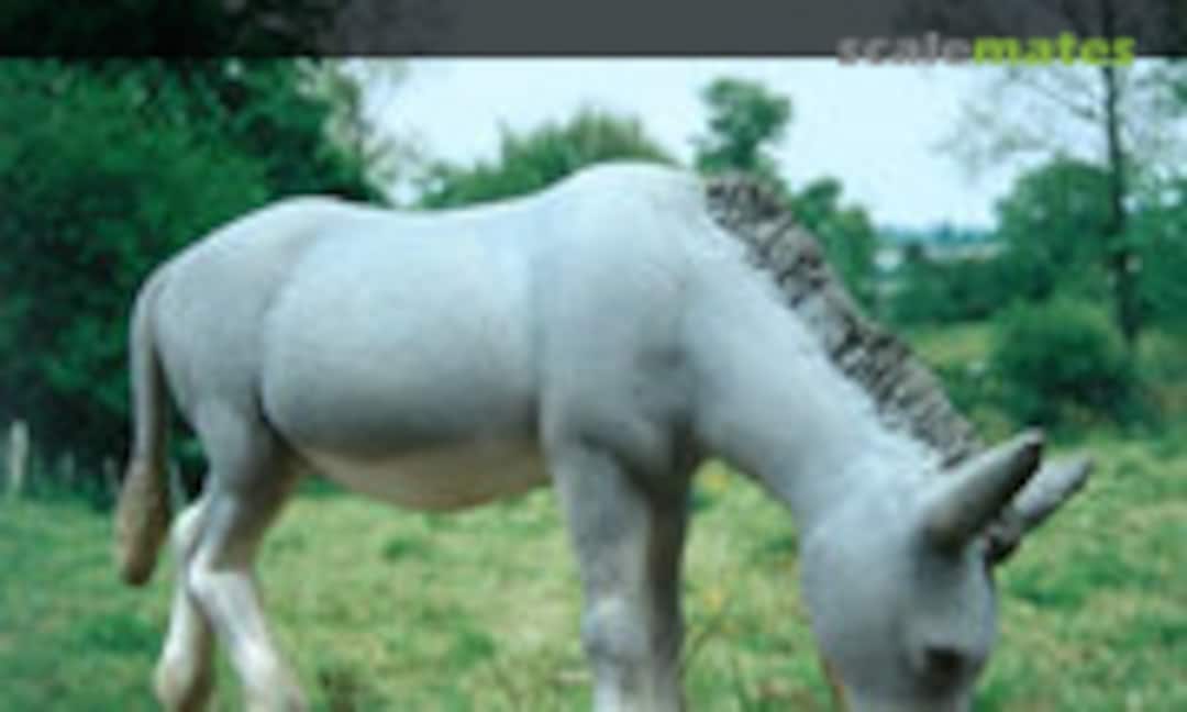 1:35 The Donkey "Martin" (MK35 F123) F123