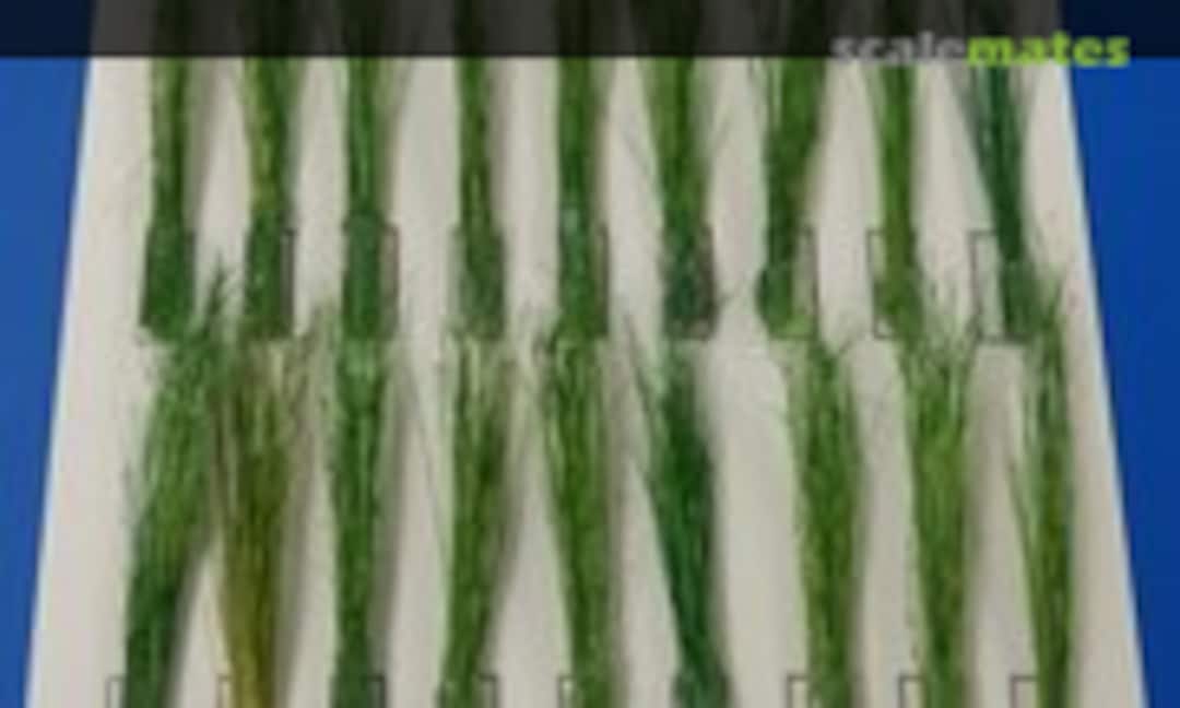 1:35 Tufts of reeds-green (PlusModel 473) 473