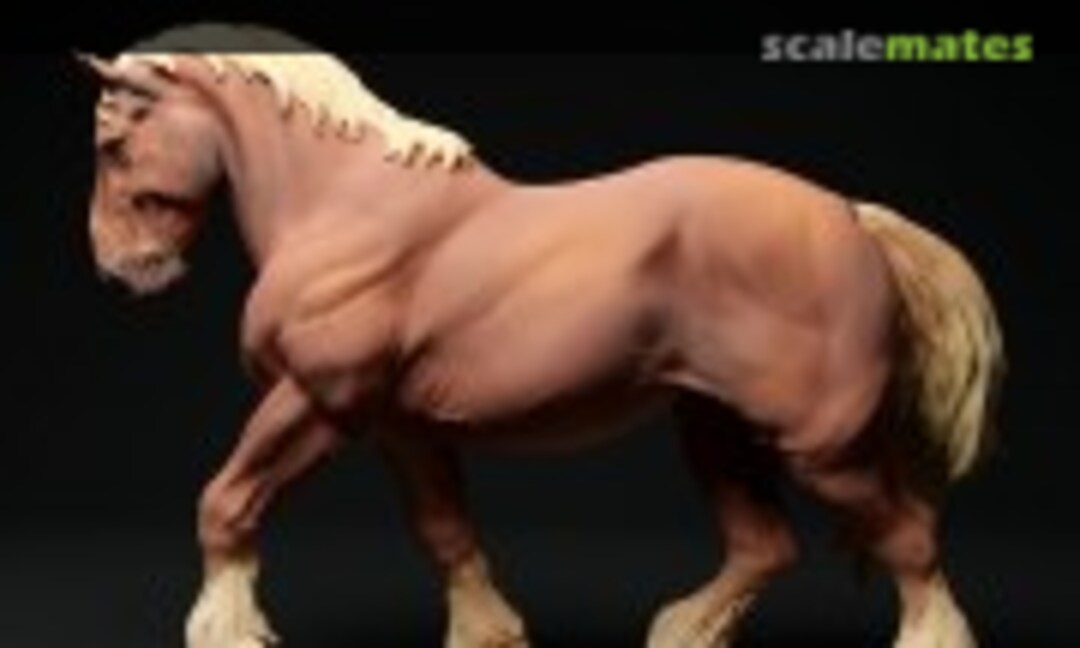 1:48 Suffolk Punch - horse walking (EMP3d 48130351) 48130351