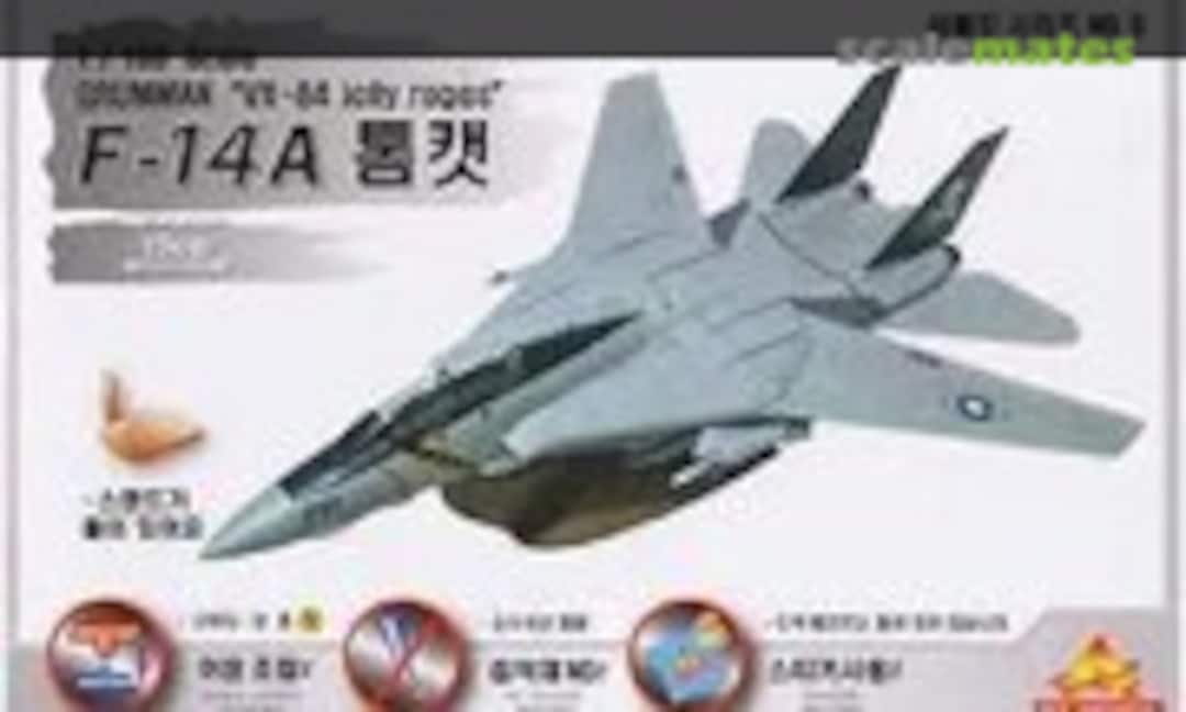 1:100 F-14A (Ace Corporation )