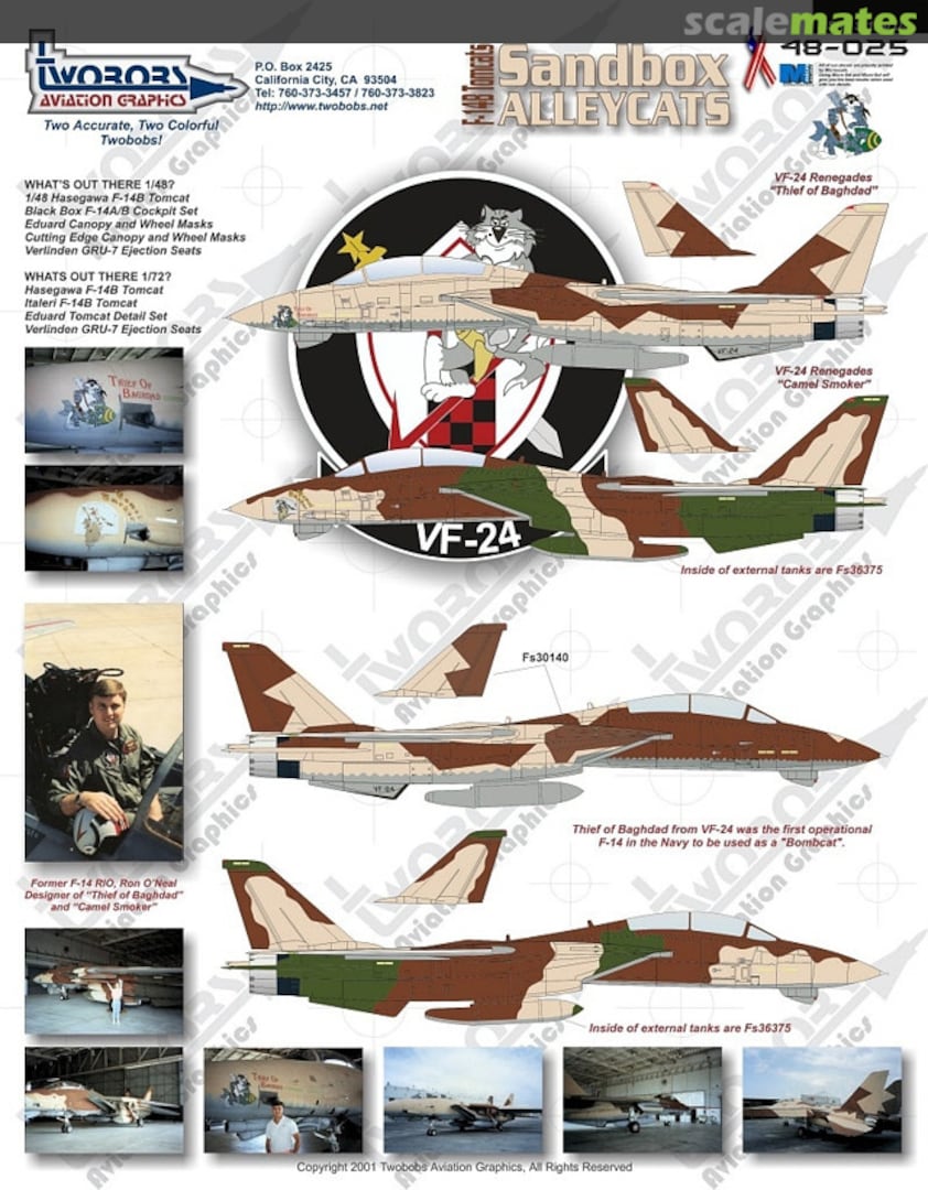Boxart F-14B Tomcats Sandbox AlleyCats 48-025 TwoBobs Aviation Graphics Boxart F-14B Tomcats Sandbox AlleyCats 48-025 TwoBobs Aviation Graphics