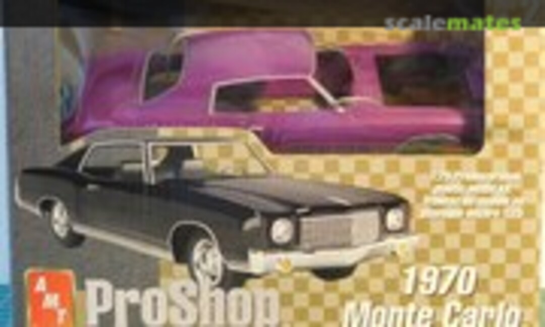 1:25 1970 Monte Carlo (AMT 31516) 31516