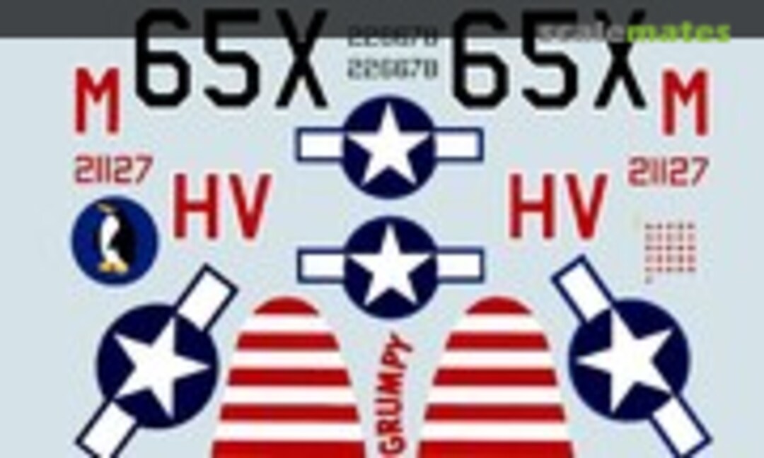 1:48 P-47D Thunderbolts (Microscale 48-68) 48-68