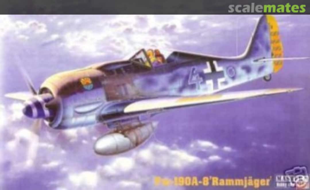 Boxart Fw-190A-8 'RAMMJAGER' C-05 MasterCraft Boxart Fw-190A-8 'RAMMJAGER' C-05 MasterCraft