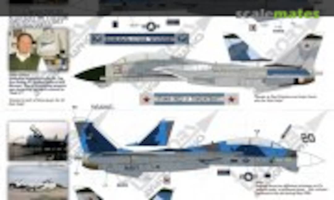 1:48 F-14A Splintered NSAWC Tomcat (TwoBobs Aviation Graphics 48-007) 48-007