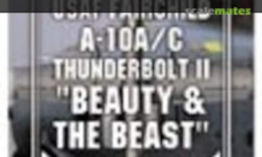 1:144 USAF FAIRCHILD A-10A/C THUNDERBOLT II "BEAUTY & THE BEAST" (MYK Design A-319) A-319