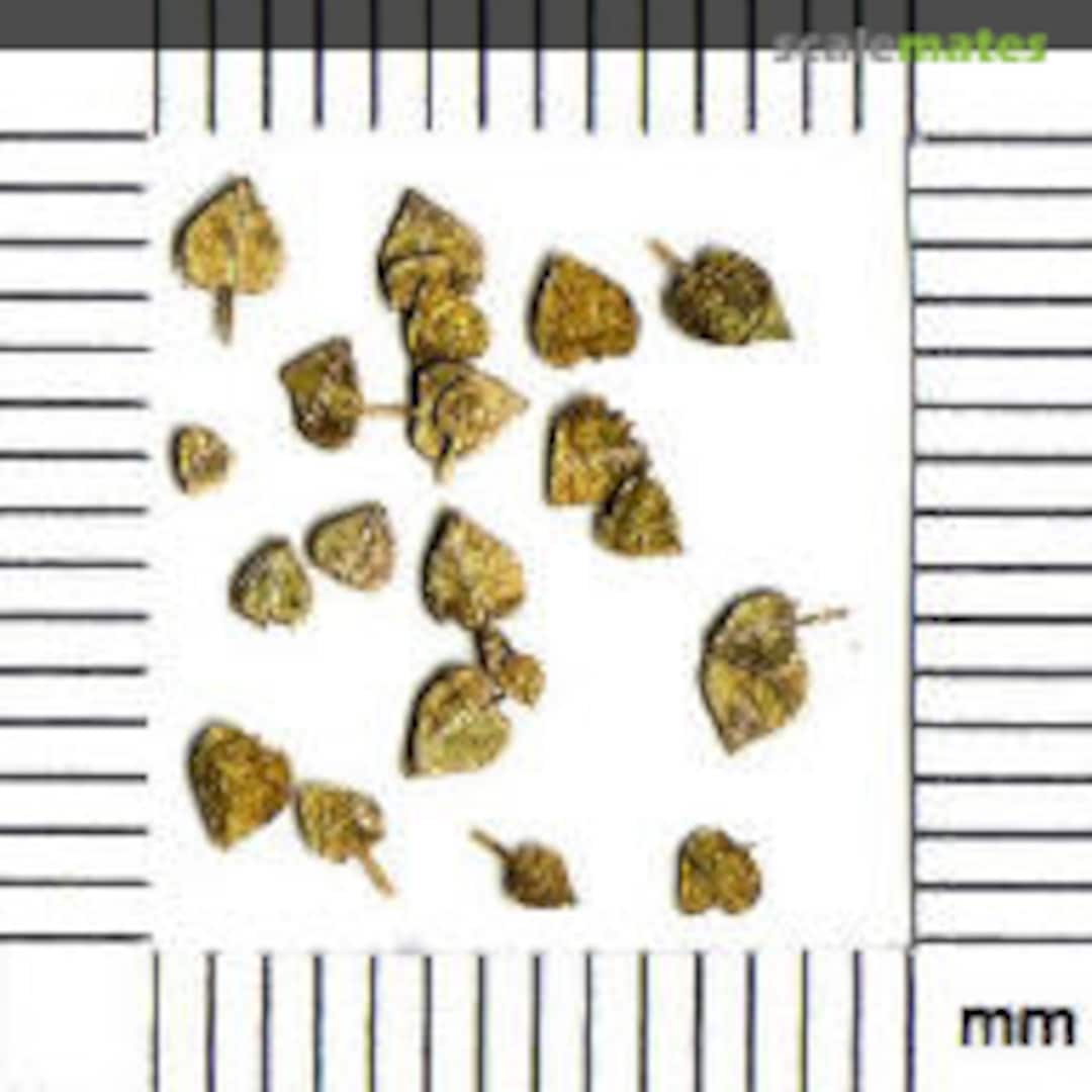 Boxart Yellow linden leaves LS4004p Litomyský Boxart Yellow linden leaves LS4004p Litomyský