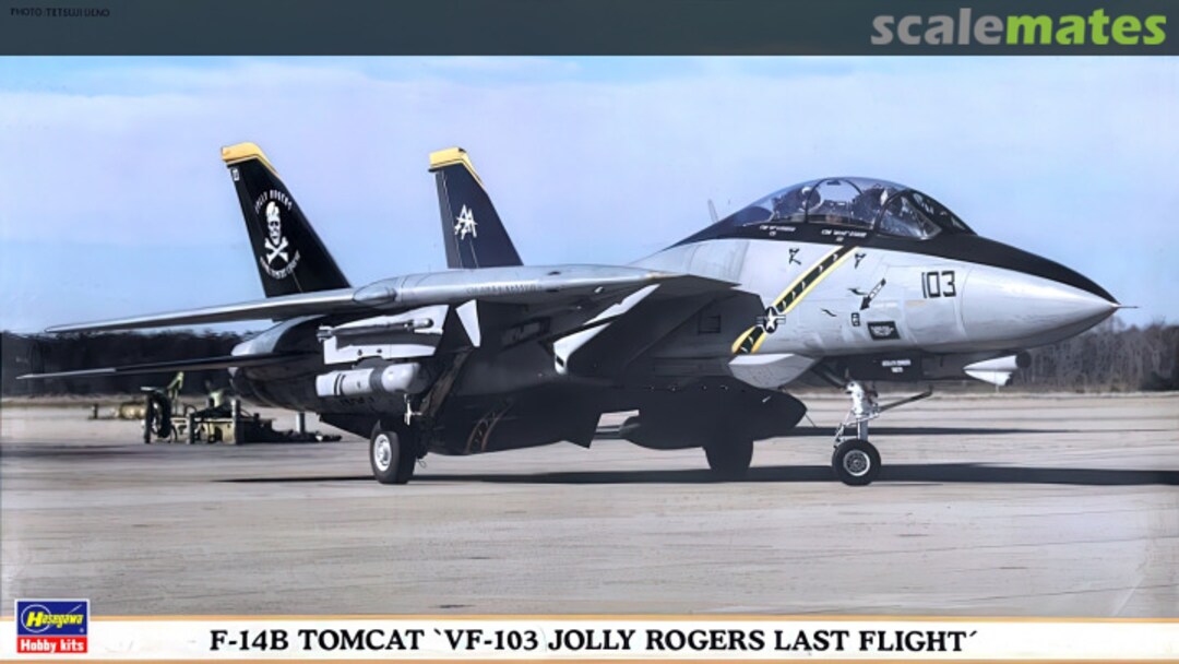 Boxart F-14B Tomcat 00382 Hasegawa