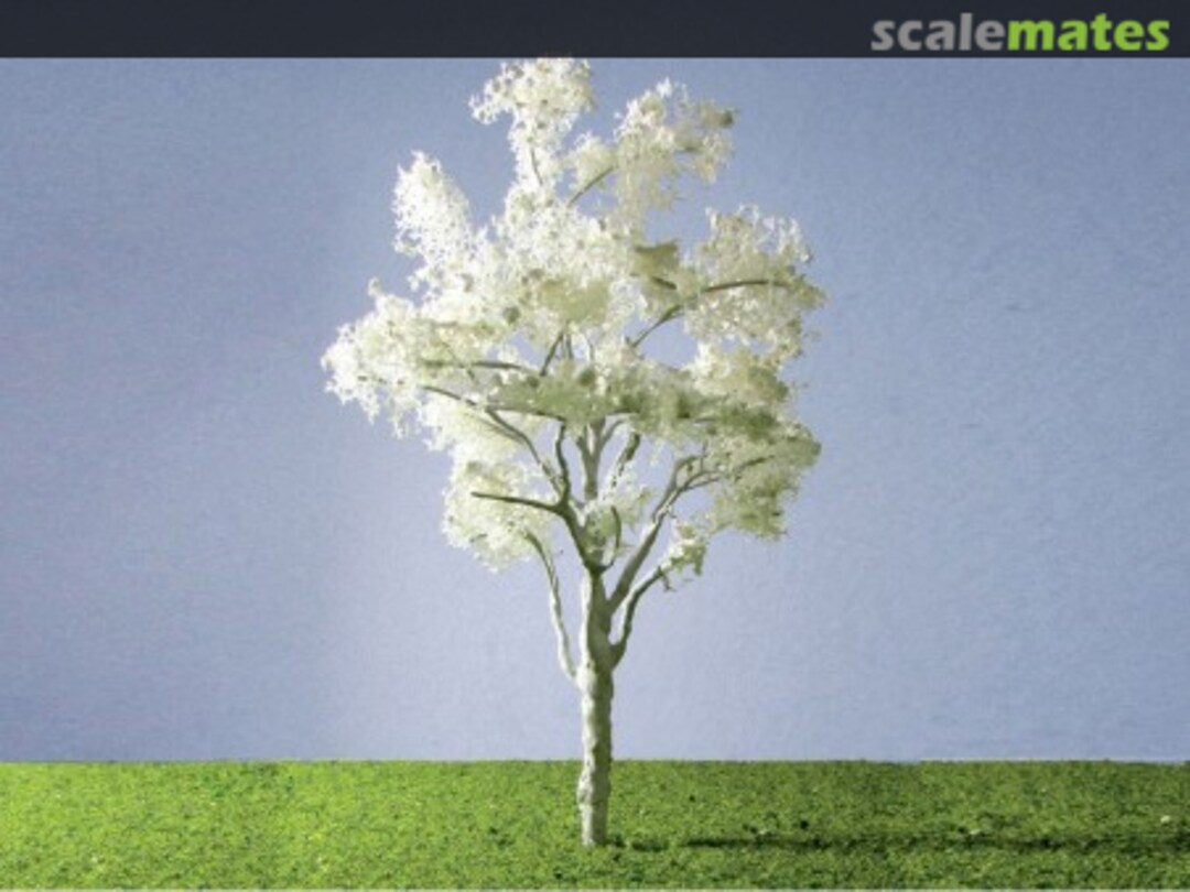 Boxart Paper Birch 96074 JTT Scenery Products Boxart Paper Birch 96074 JTT Scenery Products