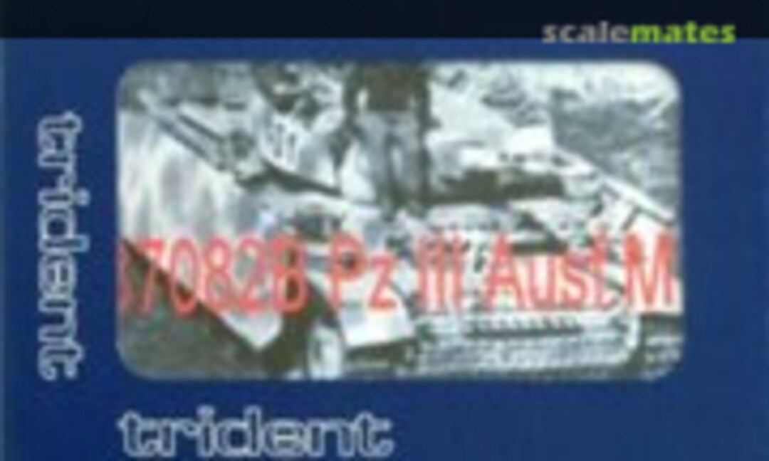 Pz.Kpfw. III Ausf. M (Trident Miniatures 87082B)