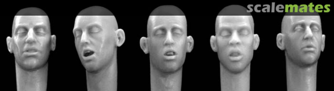 Boxart Bare Heads - sleeping or exhausted Expressios HH09 Hornet & Wolf