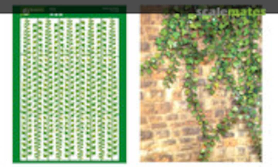 1:35 Ivy - Efeu (J's Work PPA1008) PPA1008