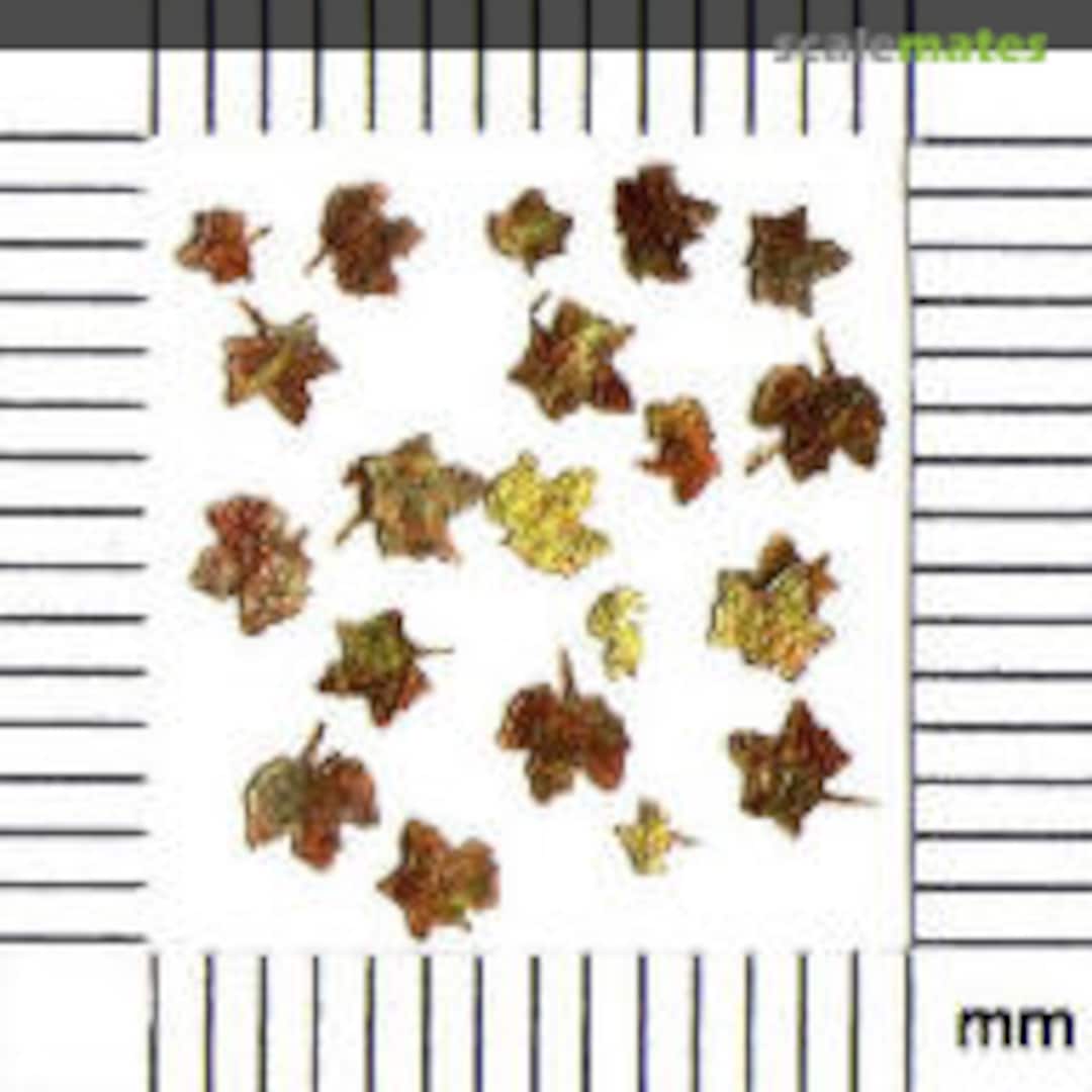 Boxart Yellow-red maple leaves LS8005p Litomyský Boxart Yellow-red maple leaves LS8005p Litomyský