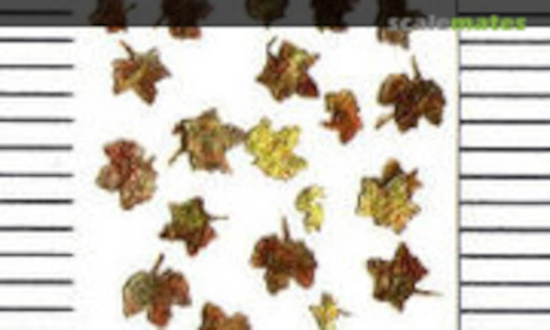 1:87 Yellow-red maple leaves (Litomyský LS8005p) LS8005p