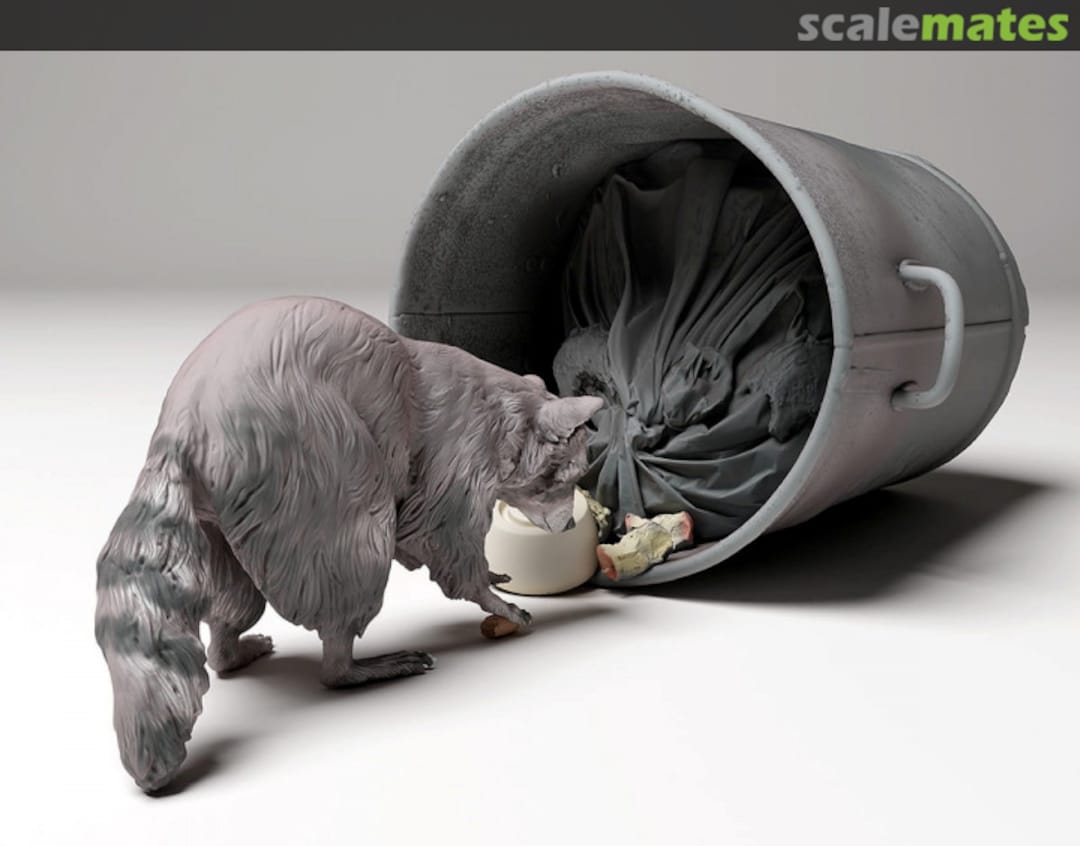 Boxart Raccoon - Digging in the Trash 48130438 EMP3d Boxart Raccoon - Digging in the Trash 48130438 EMP3d