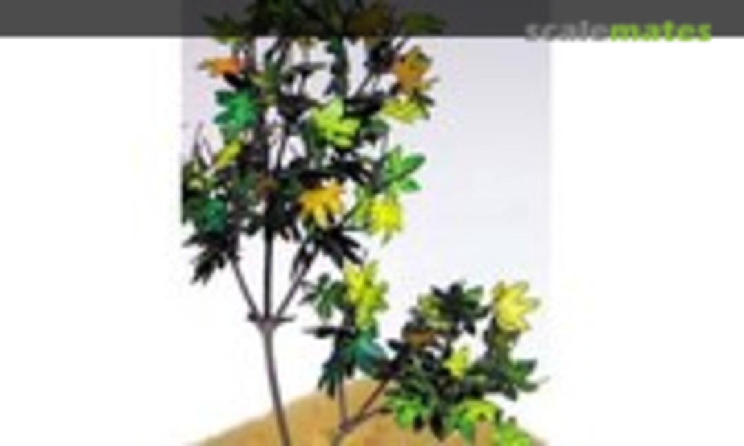 1:35 Typical Leaf 4 (J's Work PPA1010) PPA1010