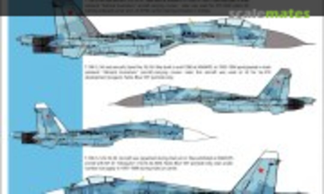 1:72 Flanker-D Early Type (CtA Models CTA-T04) CTA-T04