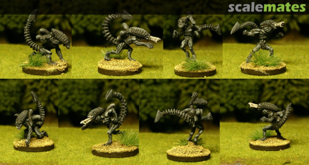 Boxart Space Demon Assault Warriors, Second Pose Set TTC-901A Khurasan Miniatures Boxart Space Demon Assault Warriors, Second Pose Set TTC-901A Khurasan Miniatures