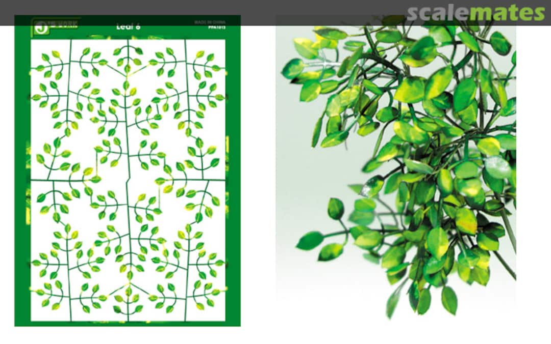 Boxart Typical Leaf 6 PPA1013 J's Work Boxart Typical Leaf 6 PPA1013 J's Work