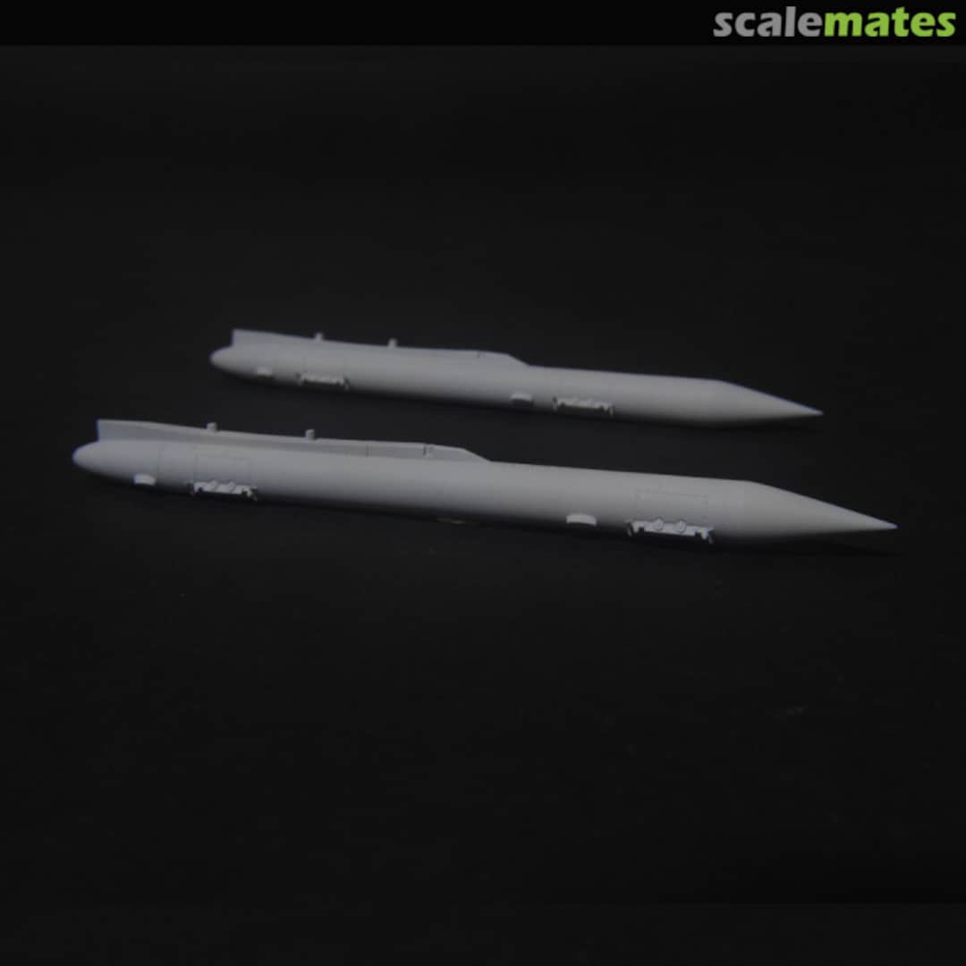 Boxart RPK-10 for Mirage III family (Paired set) PM48-0081 Paveway Models