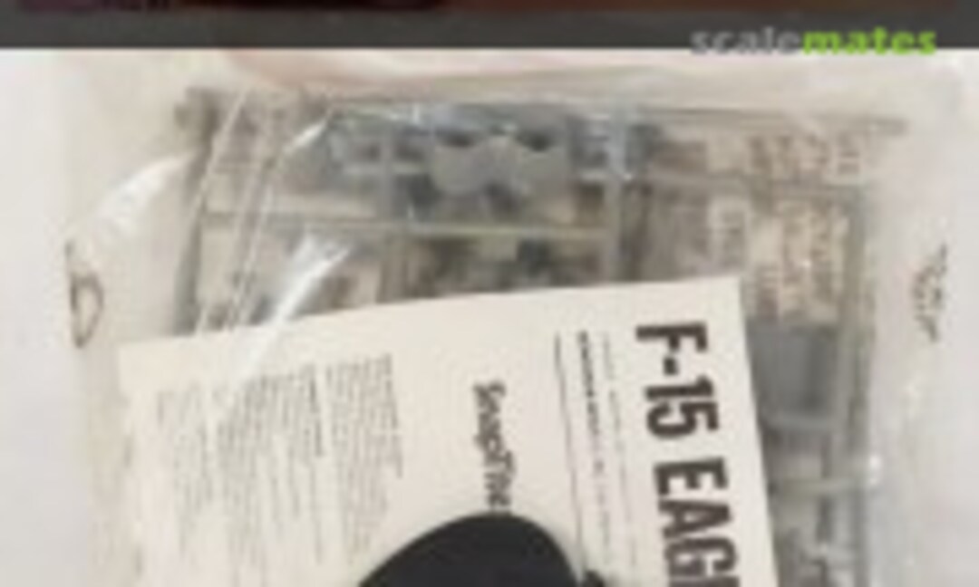 1:100 F-15 Eagle (Marketing Resource Inc. 6145)