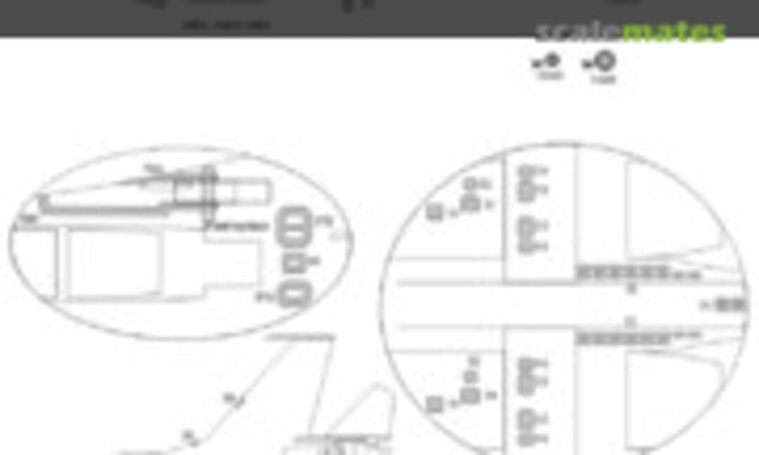 1:48 Su-30MK ADVANCED kabuki masks (New Ware NWAM0819) NWAM0819