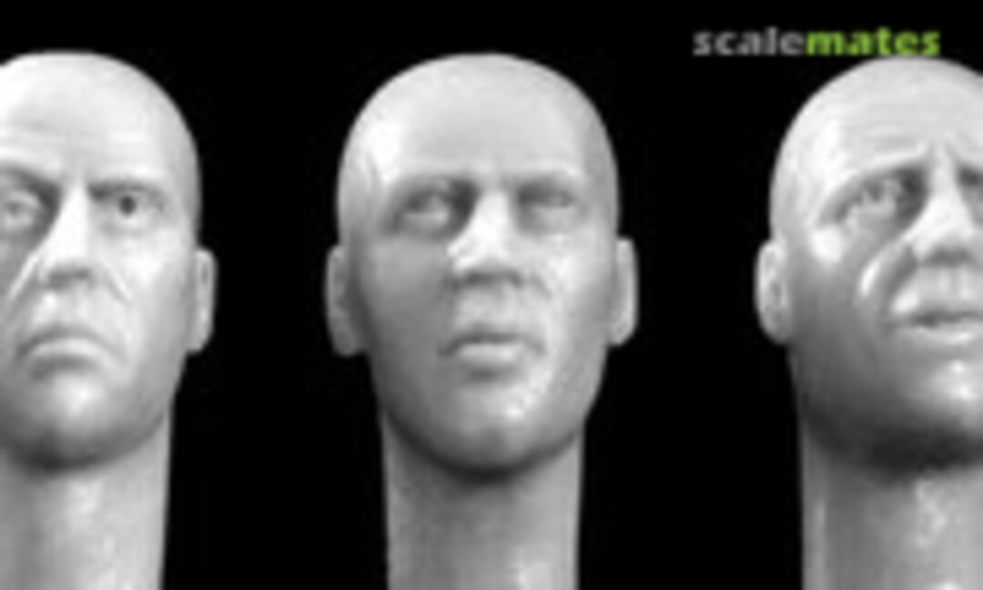 1:35 Bare Heads - Bald Heads European features (Hornet & Wolf HH24) HH24