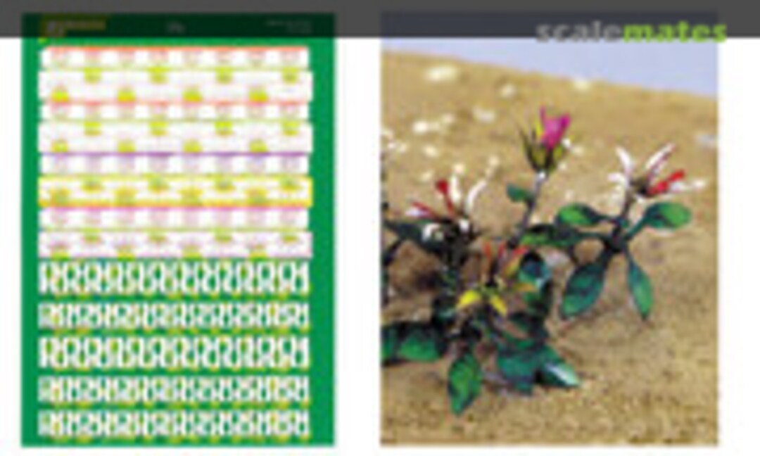 1:35 Lily - Lilie (J's Work PPA1018) PPA1018