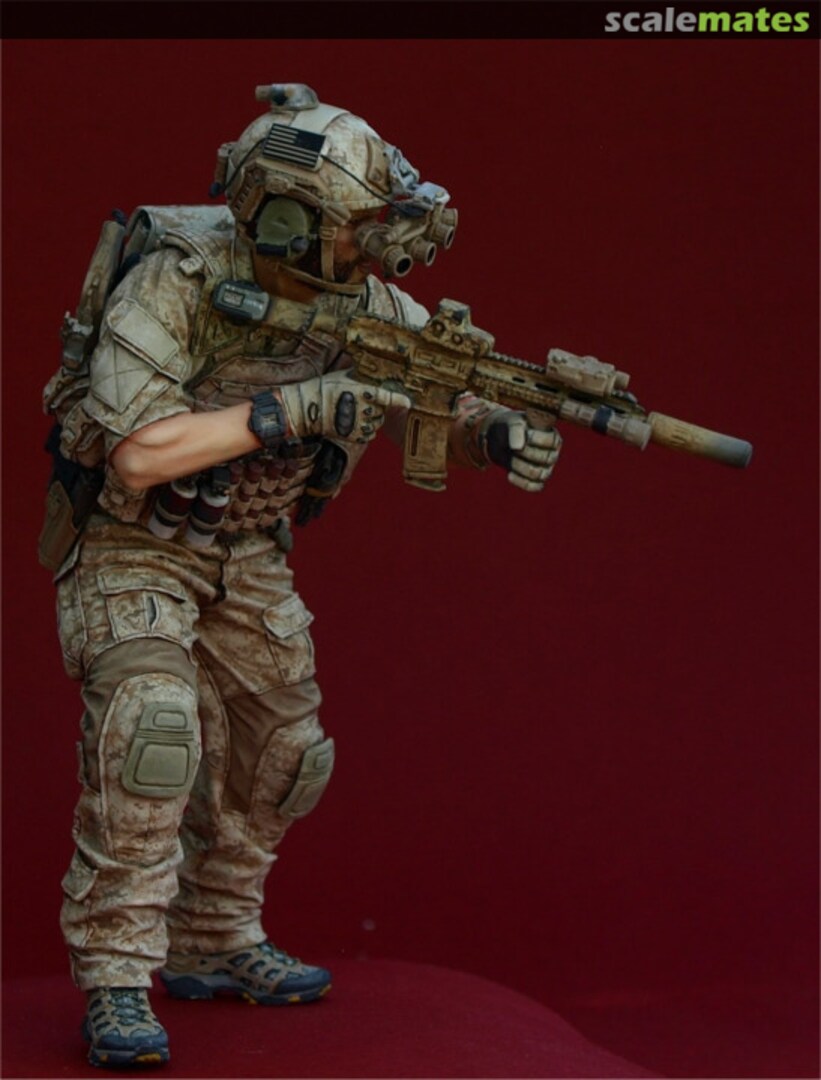 Boxart DEVGRU Operator #1 073 Airborne Miniatures Boxart DEVGRU Operator #1 073 Airborne Miniatures