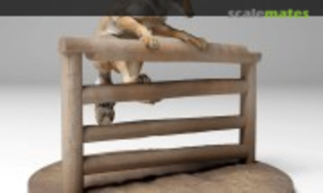 1:48 Coyote - Jumping Over the Fence (EMP3d 48130450) 48130450