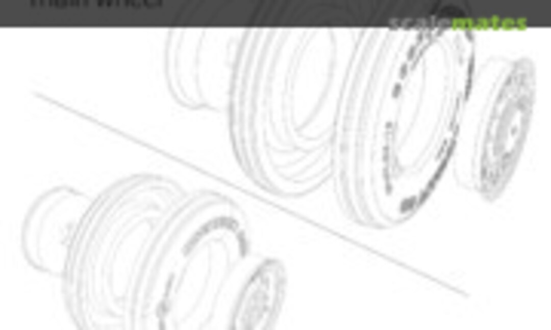 1:48 Wheel set for TAMIYA F-14 (ANYZ AND023) AND023