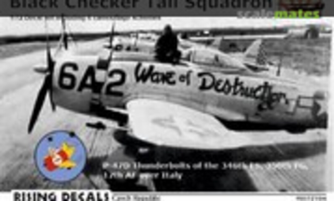 1:72 Black Checker Tail Squadron (Rising Decals RD72104) RD72104