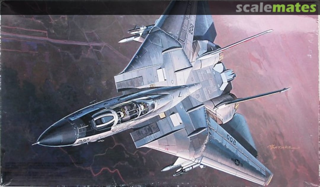 Boxart Grumman F-14D Super Tomcat 28007 Fujimi Boxart Grumman F-14D Super Tomcat 28007 Fujimi