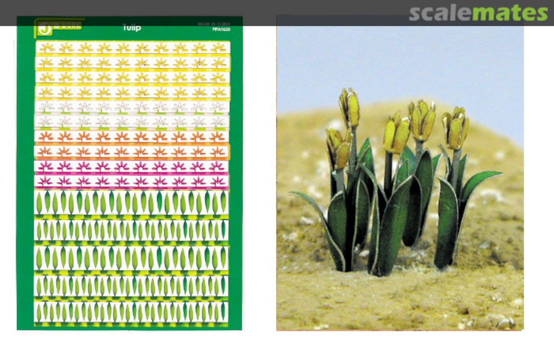 Boxart Tulip - Tulpen PPA1020 J's Work Boxart Tulip - Tulpen PPA1020 J's Work