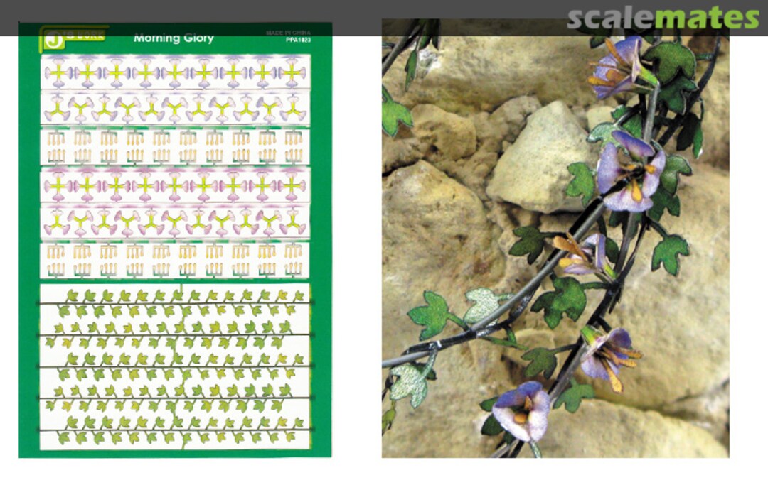 Boxart Morning Glory - Trichterwinde PPA1023 J's Work Boxart Morning Glory - Trichterwinde PPA1023 J's Work
