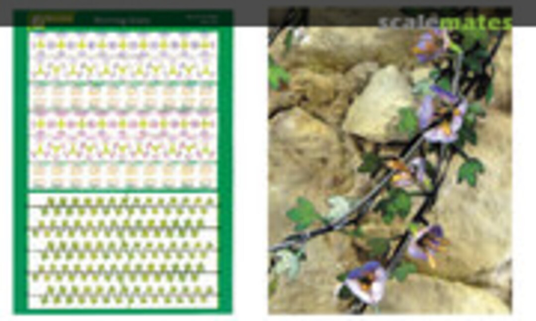 1:35 Morning Glory - Trichterwinde (J's Work PPA1023) PPA1023