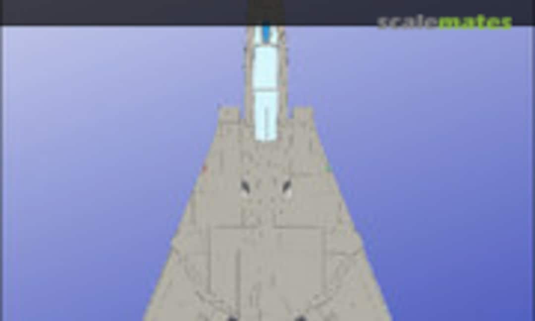 1:48 Tomcat Data Sheet (Vagabond Decals 48-TD1) 48-TD1