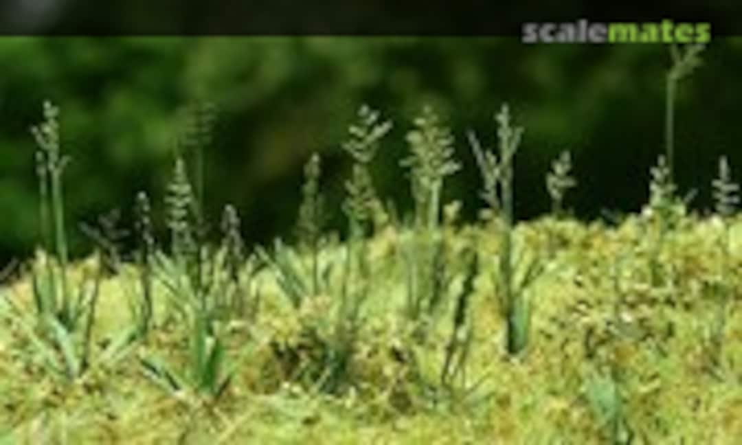 No Fescue (Model Scene VG3-015) VG3-015