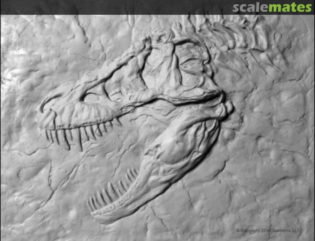 Boxart T. rex skull plaque Stannarts Boxart T. rex skull plaque Stannarts