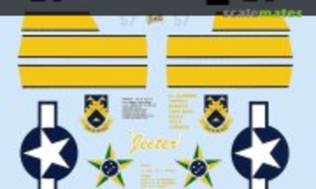 1:48 P-47D Thunderbolts (SuperScale International 48-880) 48-880