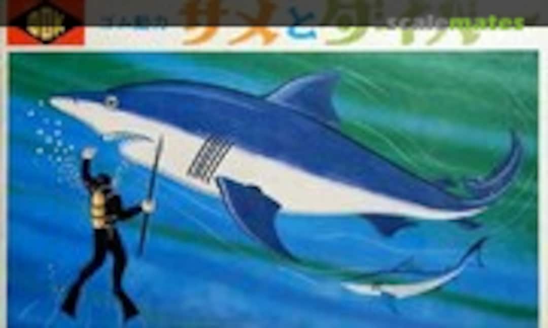 No Shark & Diver (Odaka )