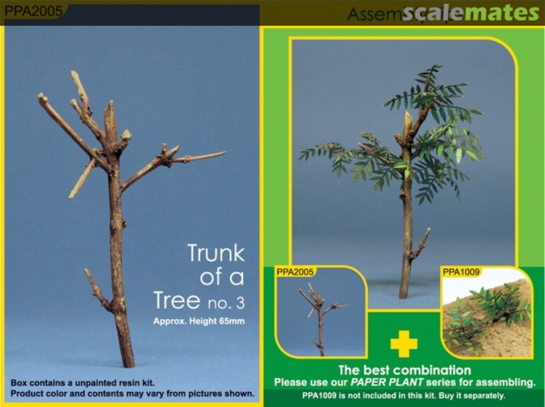 Boxart Tree Trunk 3 PPA2005 J's Work Boxart Tree Trunk 3 PPA2005 J's Work