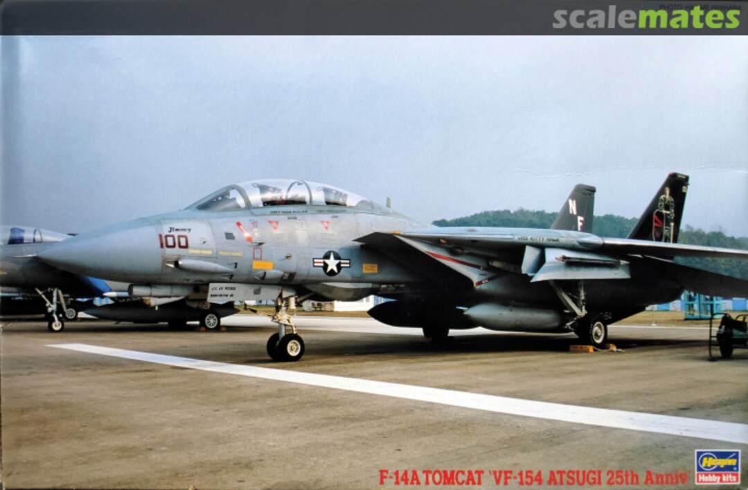 Boxart F-14A Tomcat `VF-154 Atsugi 25th Anniv´ 07085 Hasegawa Boxart F-14A Tomcat `VF-154 Atsugi 25th Anniv´ 07085 Hasegawa