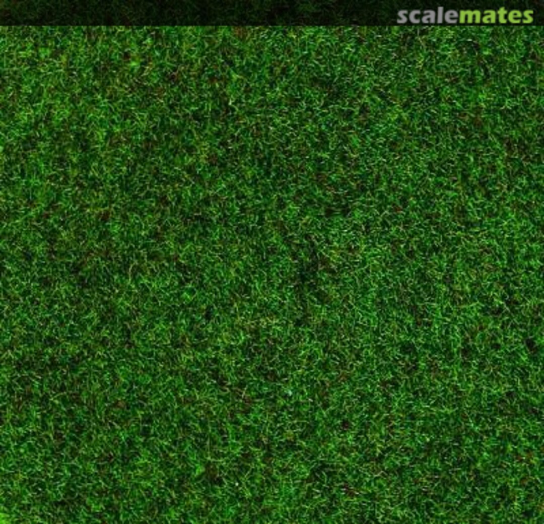 Boxart Static Grass: Forest Floor 2-3 mm 3361 Heki Boxart Static Grass: Forest Floor 2-3 mm 3361 Heki