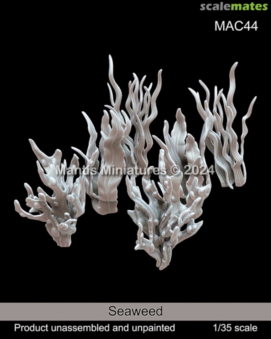 Boxart Seaweed MAC44 Mantis Miniatures Boxart Seaweed MAC44 Mantis Miniatures