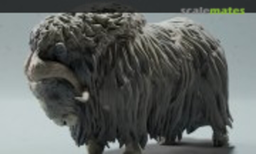 1:48 Musk Ox - female standing (EMP3d 48130604) 48130604